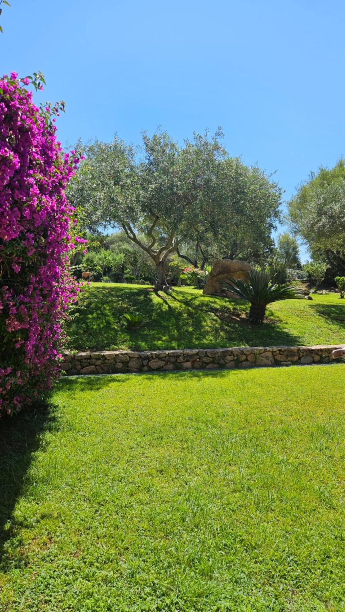 Residenze Coda Cavallo San Teodoro  Exteriör bild